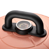 PIZZARETTE XL | Gas Grill | einzigartig | 2 in 1 Grill und Pizzaofen | bis 400 Grad | Druckguss Grillrost | Schamott Pizzastein | handgemachte Terracotta Haube | Kontrollthermometer | Pizzaheber